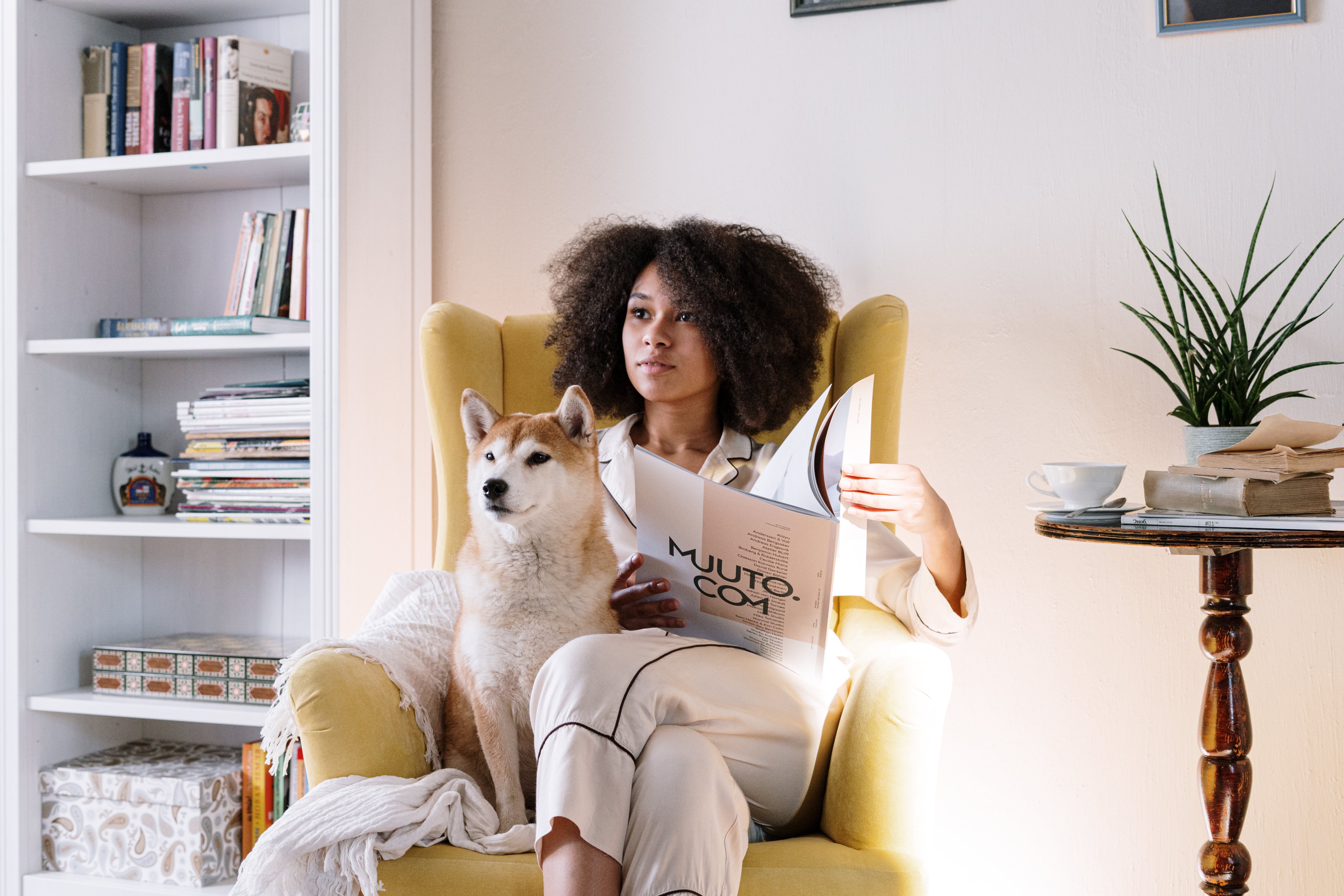 A shiba on the couch with a lady